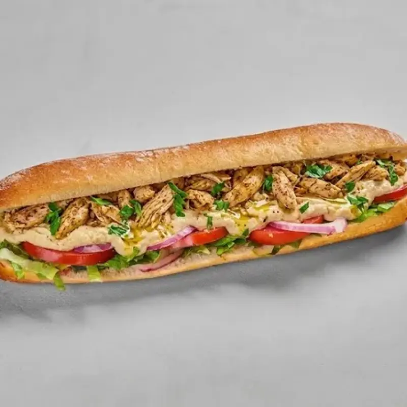 باجيت صدر دجاج